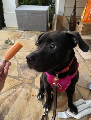 Astro