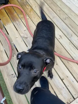 Astro