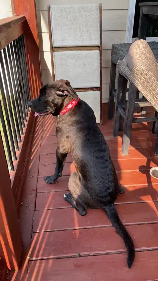 Astro