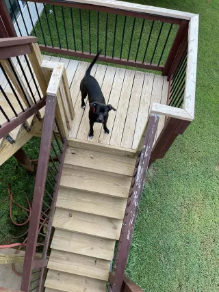 Astro