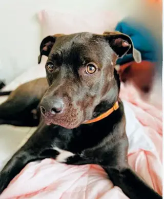 Astro