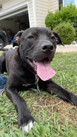 Astro