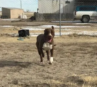 Rusty