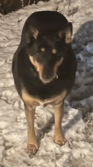 Thelma