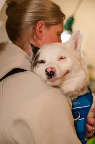 Kensi