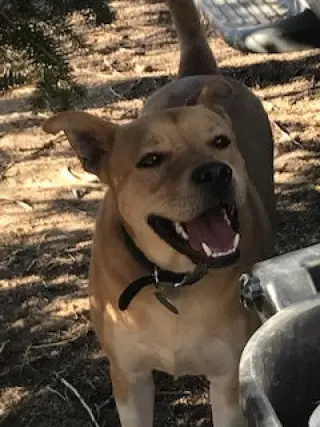 Jack