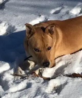 Jack