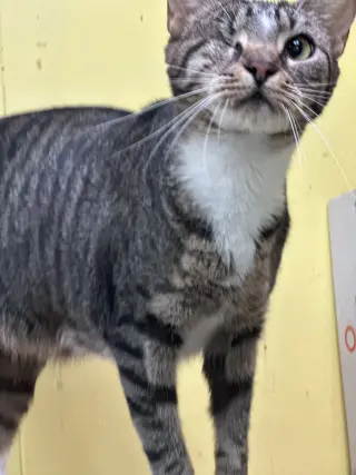 Jim Bob