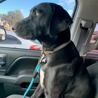 Odin