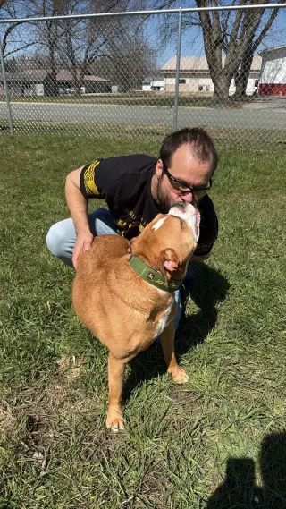 Ashton now Tyson - FOSTER OR ADOPT ME!!