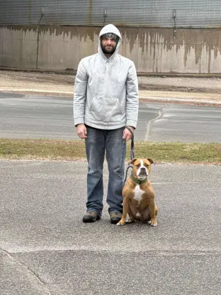 Ashton now Tyson - FOSTER OR ADOPT ME!!