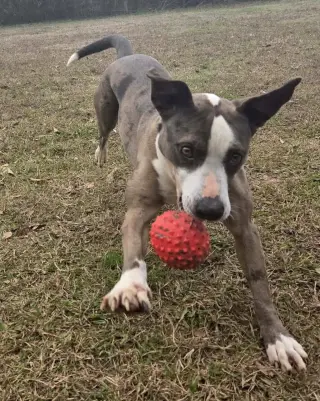 Luna