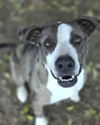 Luna