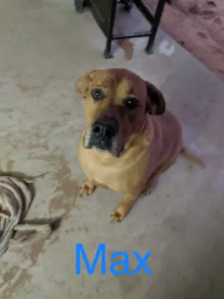 Max