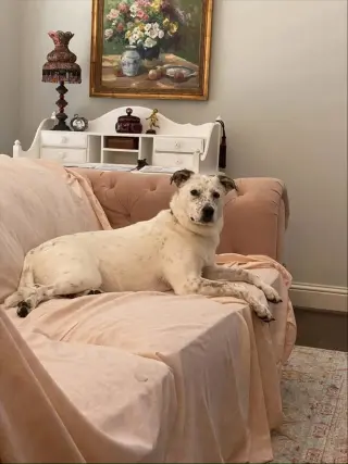 Bindi