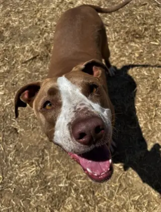 Donna Barkin