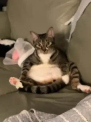 Calvin Mac