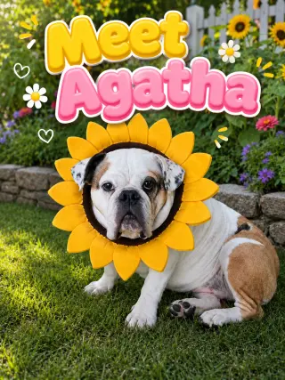 Agatha