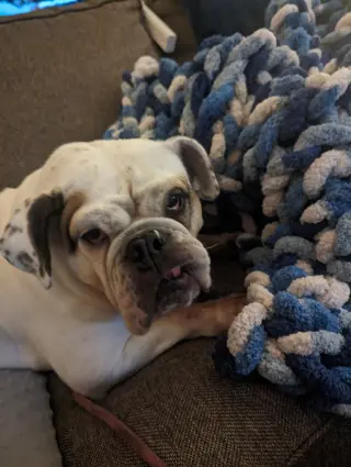 Agatha