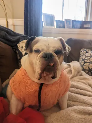 Agatha