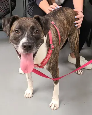 Ellie