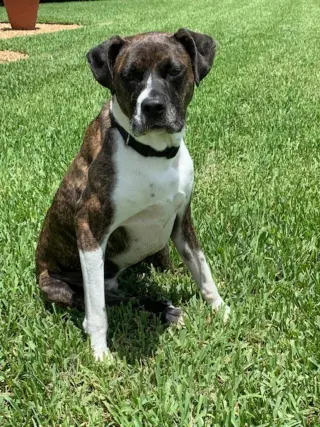 Ellie