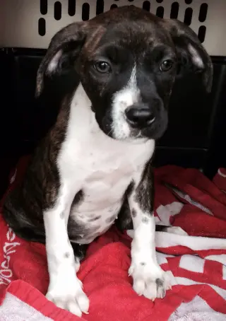 Ellie
