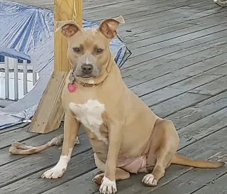Bonnie (bonded to Clyde)