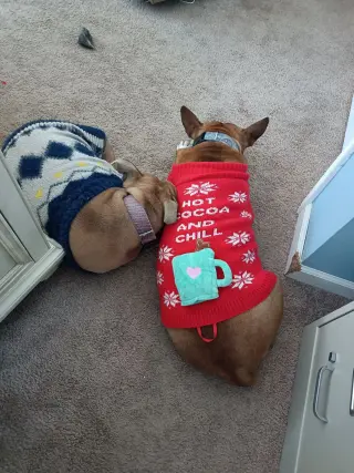Clyde (bonded to Bonnie)