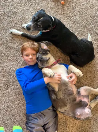D.O.G.(DeeOhhGee)