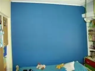 Pintor de casas, PINTURAEXPRES