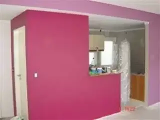 Pintor de casas, PINTURAEXPRES
