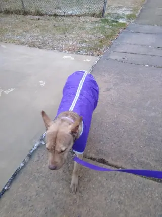 Coco