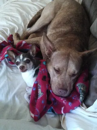 Coco