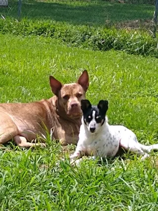 Coco