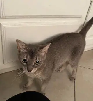 NALA