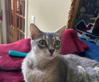 NALA
