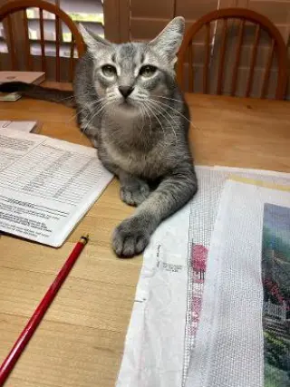 NALA