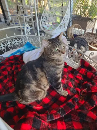 Marbles