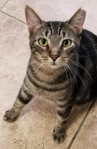 Marbles