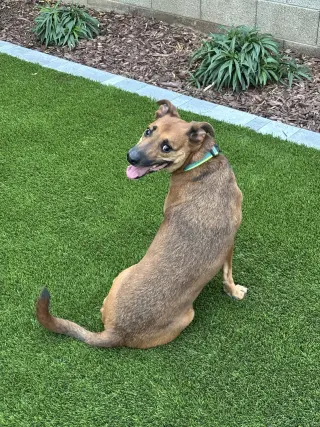 Max