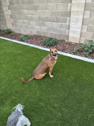 Max