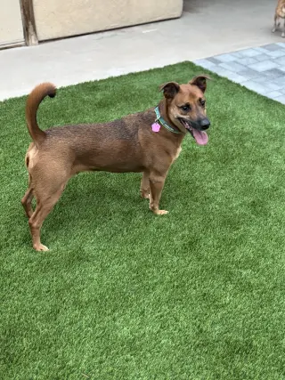 Max