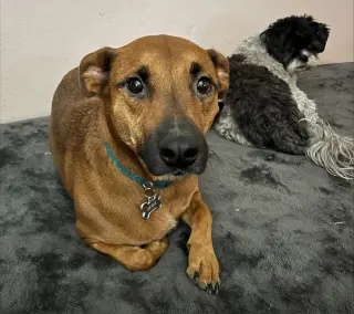Max