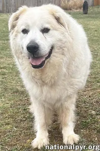 Luke in PA - Looking for the Good Life!