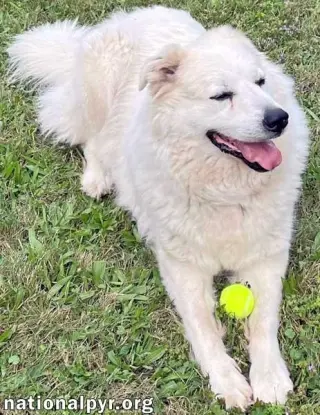 Luke in PA - Looking for the Good Life!
