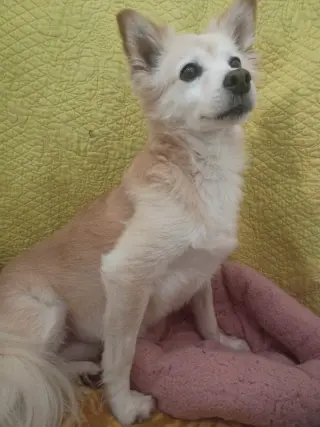 Sadie May 26 Bonded to Peanut May 26