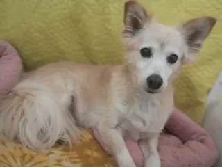 Sadie May 26 Bonded to Peanut May 26