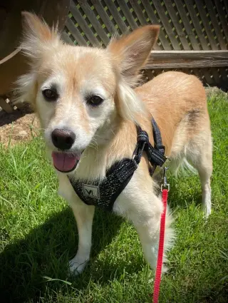 Sadie May 26 Bonded to Peanut May 26