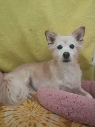 Sadie May 26 Bonded to Peanut May 26